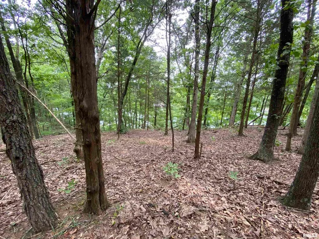 $45,000 | Parrish Ridge Lane, Goreville, IL 62939