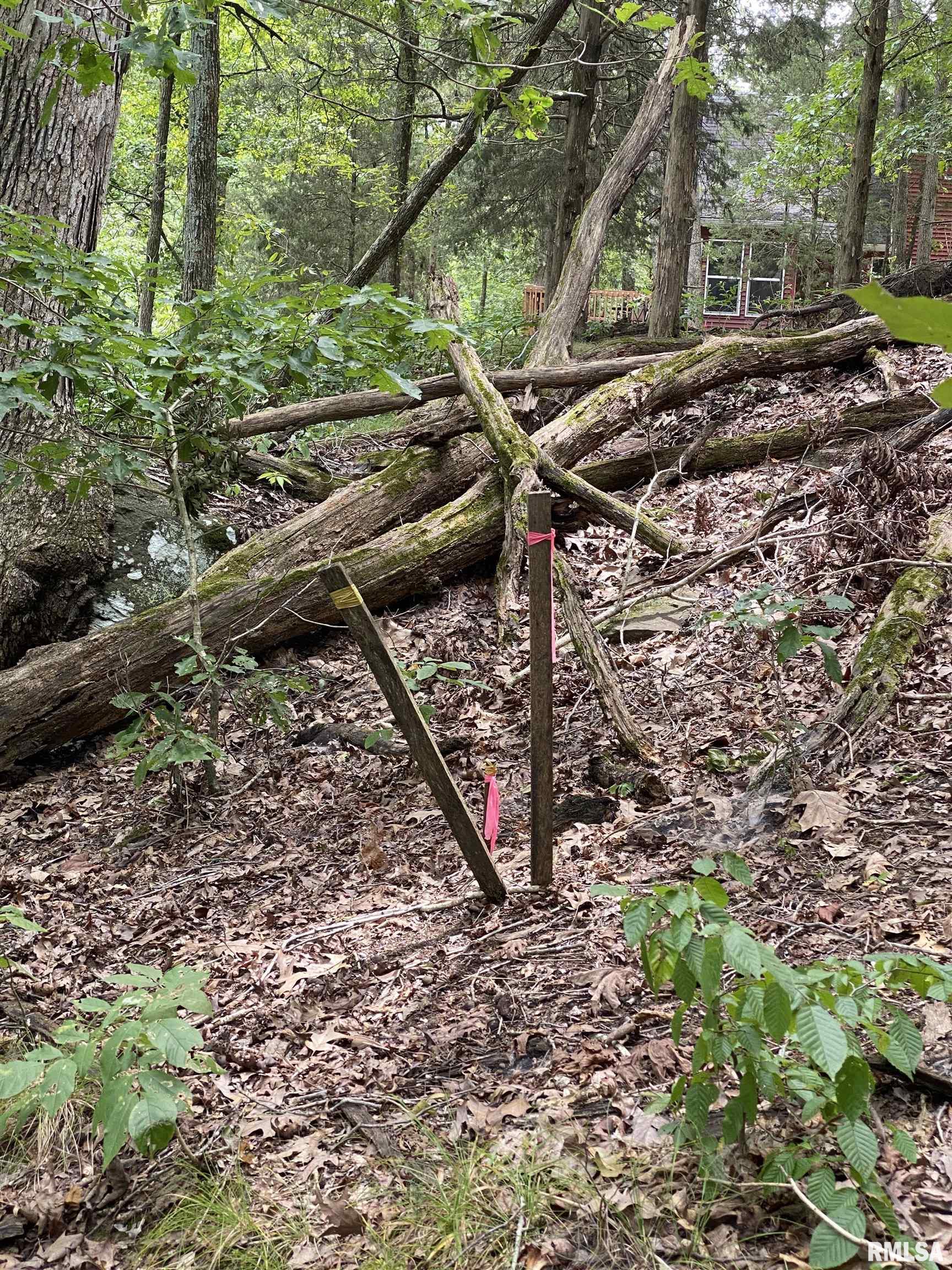 Parrish Ridge Lane Goreville, IL 62939 - Photo 6 of 10