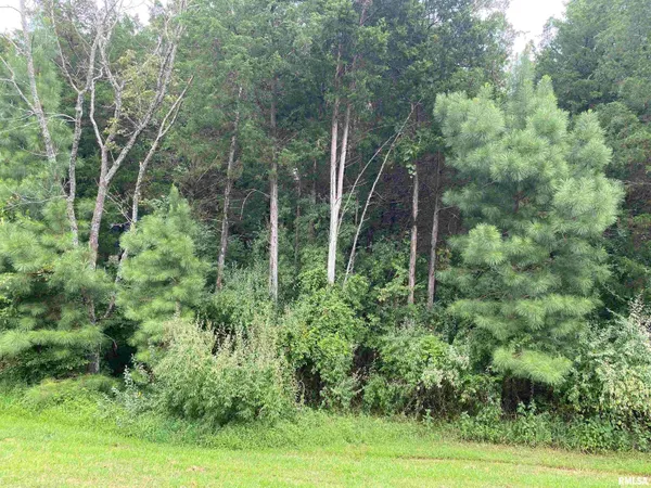 $40,500 | Parrish Ridge Lane, Goreville, IL 62939