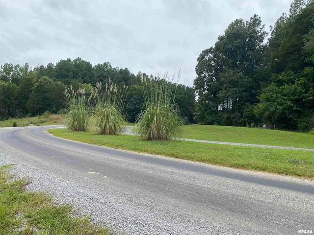 $45,000 | Parrish Ridge Lane, Goreville, IL 62939