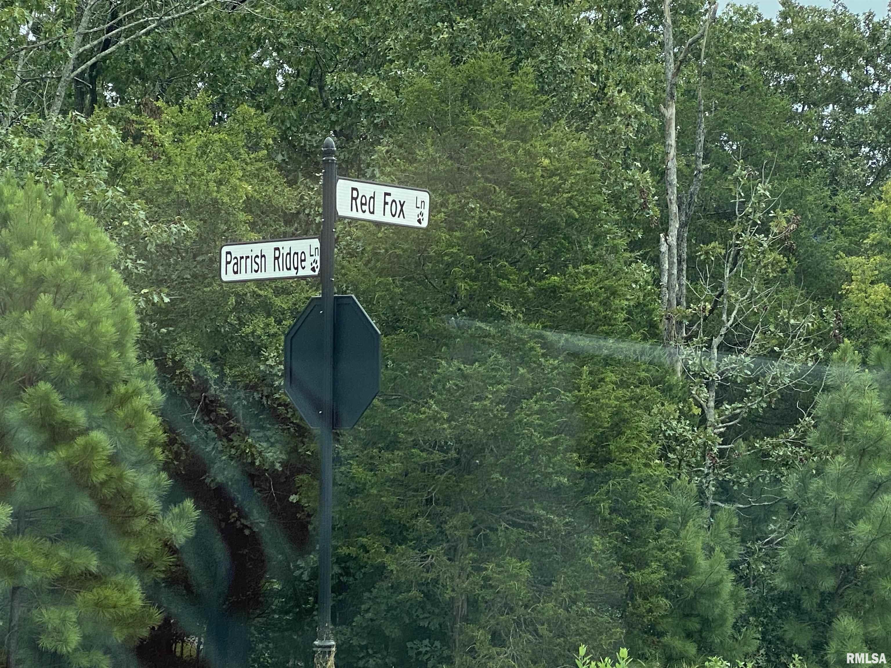 Parrish Ridge Lane Goreville, IL 62939 - Photo 10 of 10