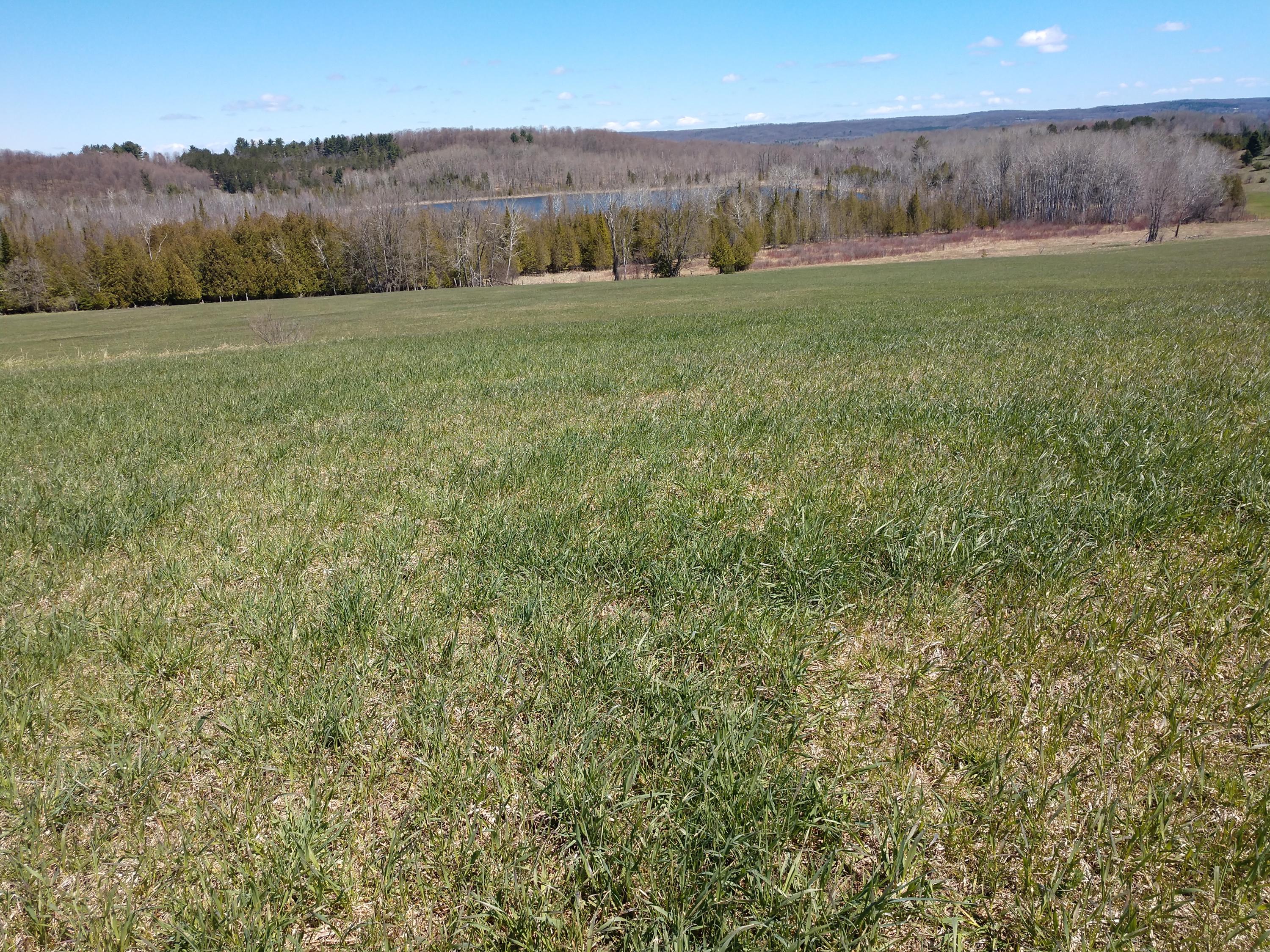 North Advance Road Boyne City, MI 49712 - Photo 11 of 18 Gallery Image 11