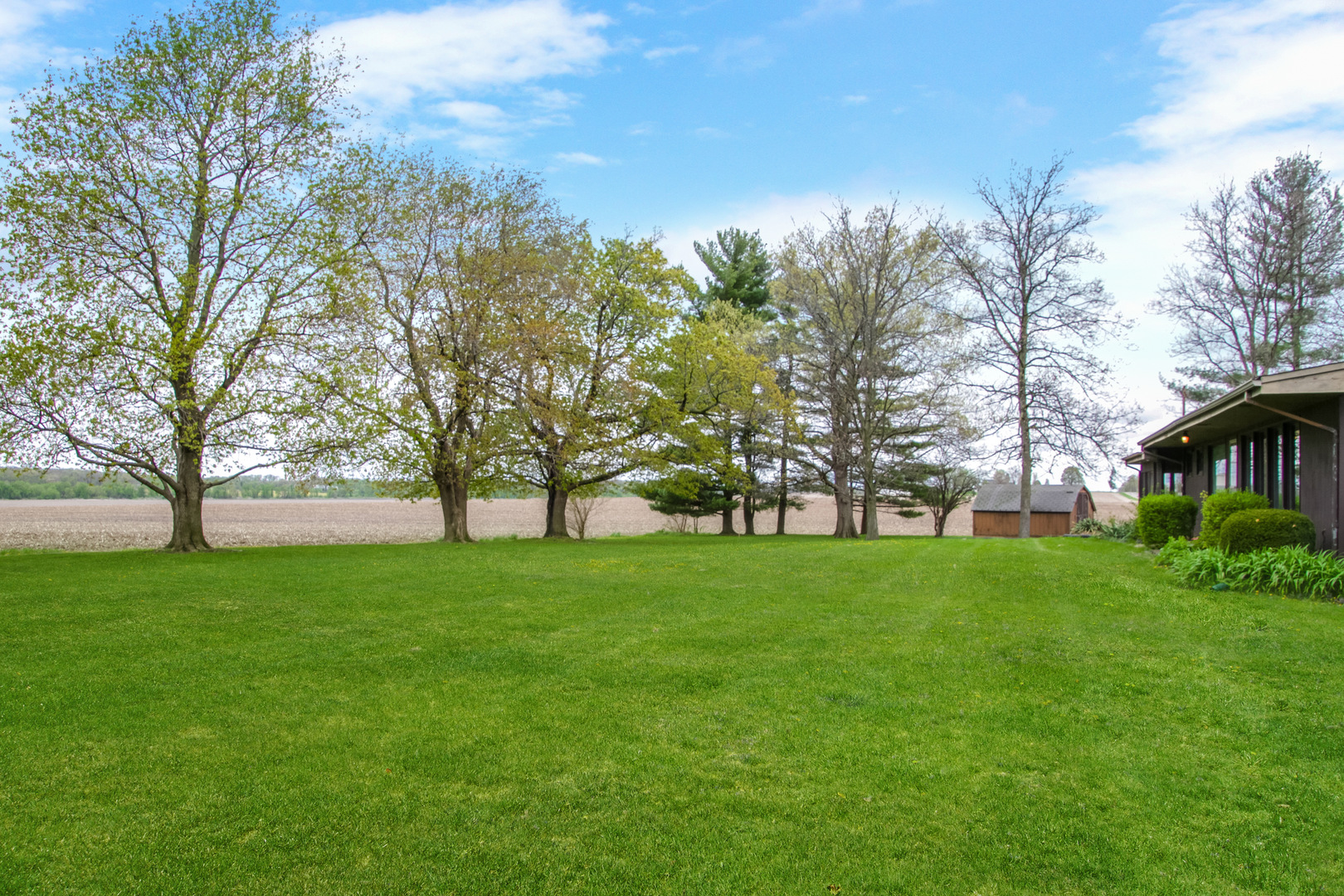 6907 White Oaks Road Harvard, IL 60033 - Photo 19 of 21 a view of backyard with large trees