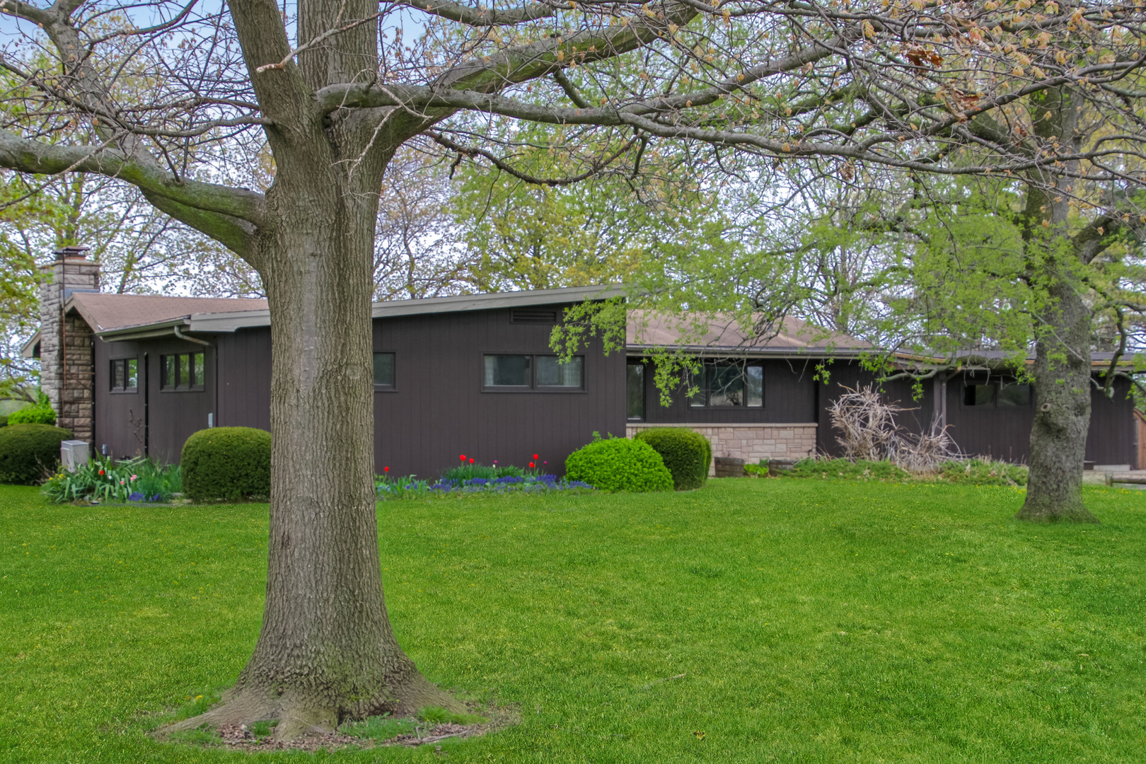 6907 White Oaks Road Harvard, IL 60033 - Photo 2 of 21 a view of a yard in front of house with a large tree
