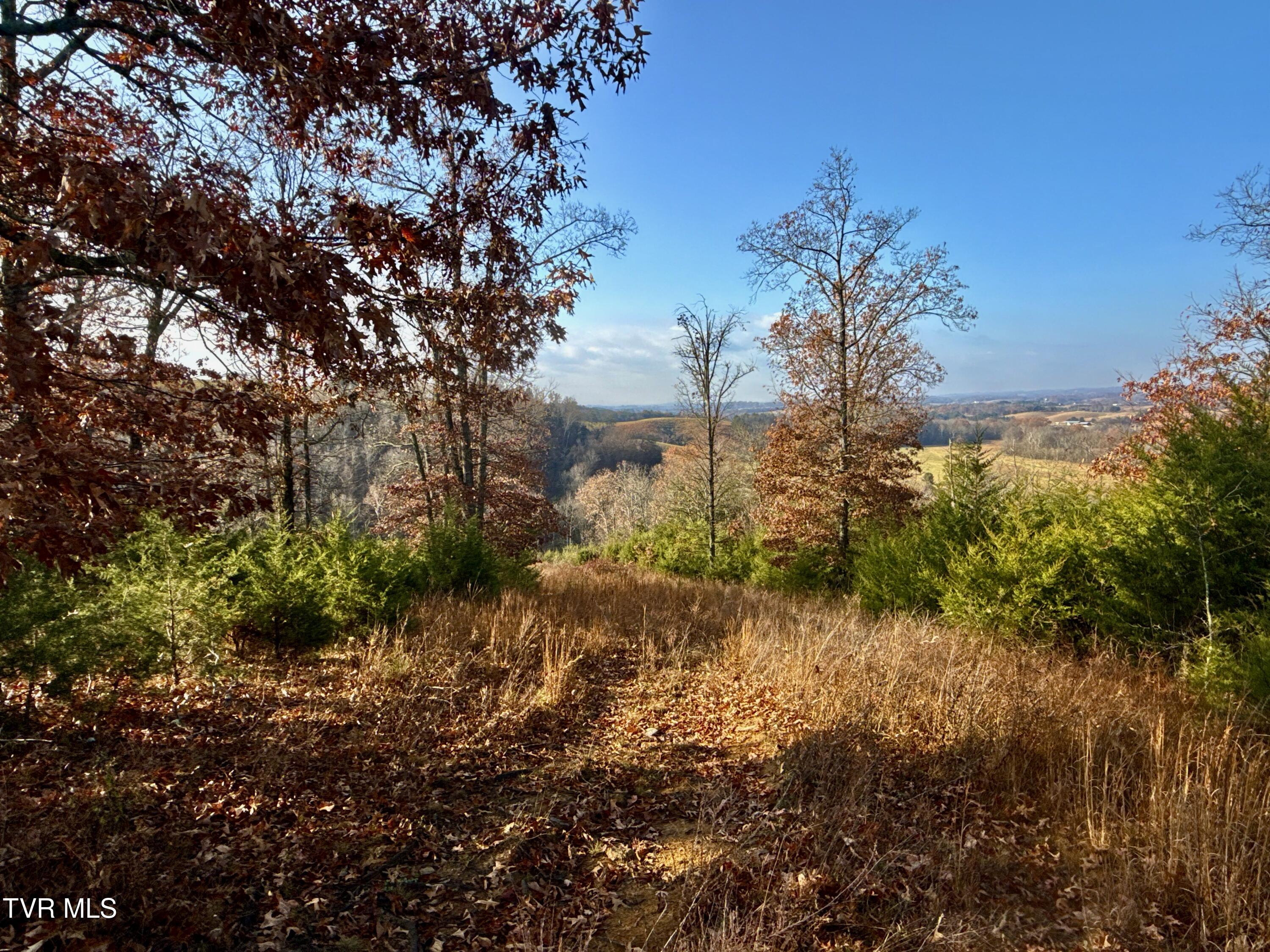 3456 Warrensburg Road, Unit 17 Whitesburg, TN 37891 - Photo 46 of 83 _Pic22 (27)