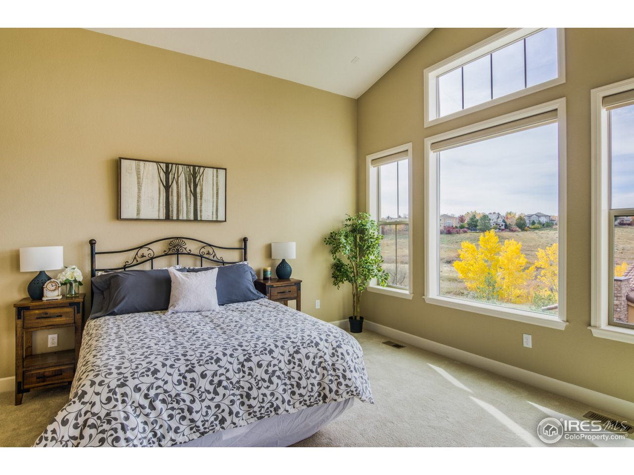 9563 Firenze Way Highlands Ranch, CO 80126 - Photo 14 of 26 Gallery Image 14