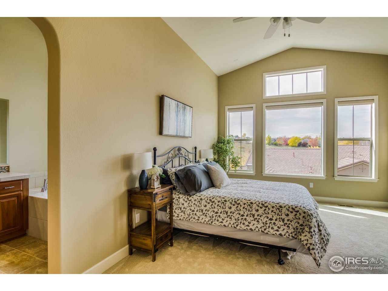 9563 Firenze Way Highlands Ranch, CO 80126 - Photo 16 of 26 Gallery Image 16