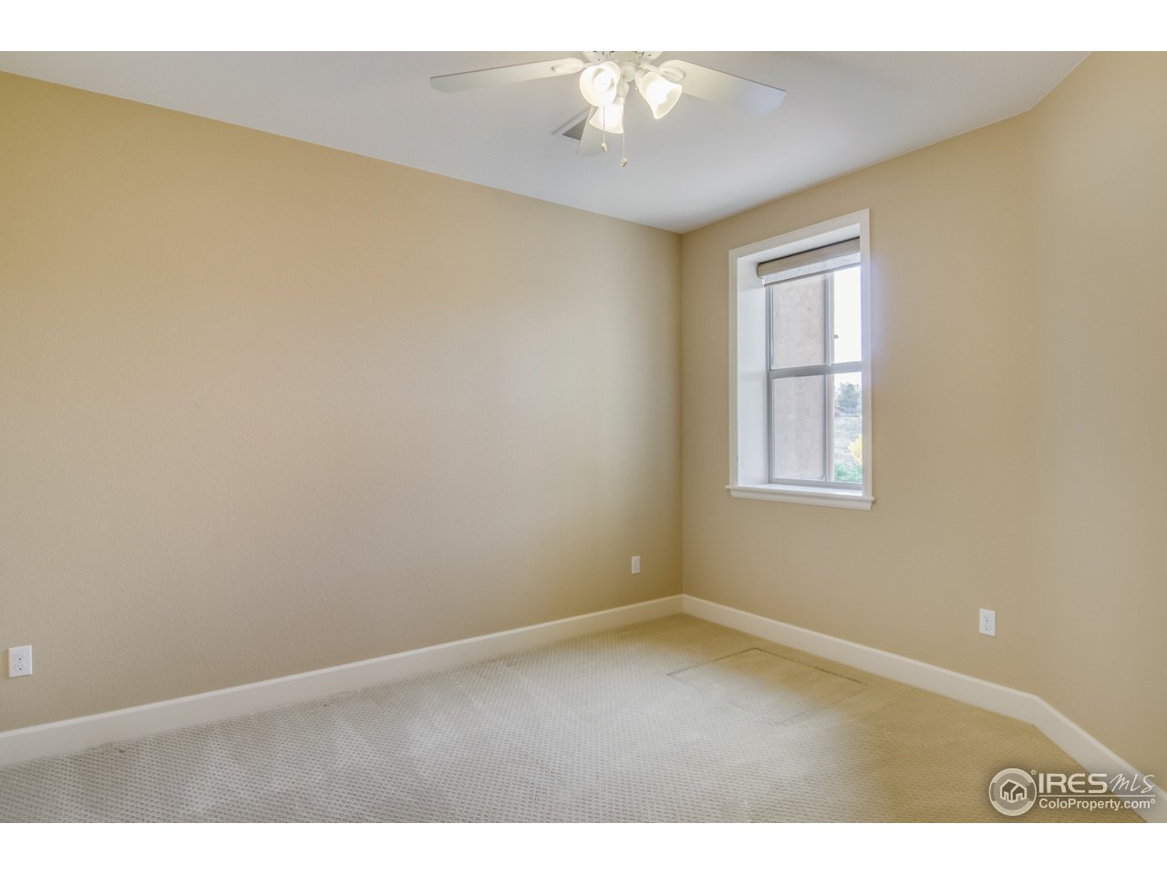 9563 Firenze Way Highlands Ranch, CO 80126 - Photo 22 of 26 Gallery Image 22