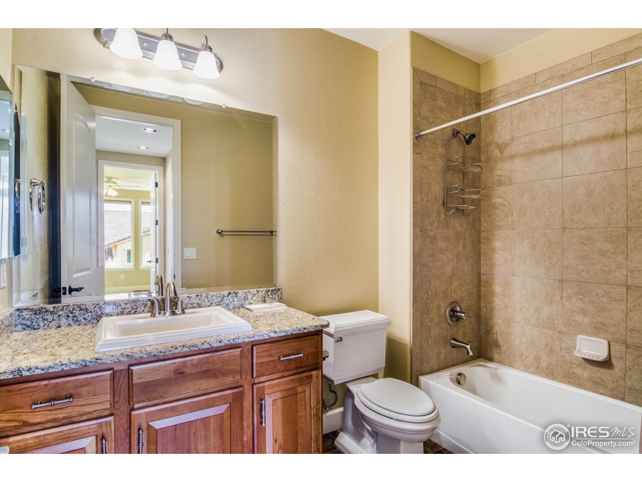 9563 Firenze Way Highlands Ranch, CO 80126 - Photo 23 of 26 Gallery Image 23