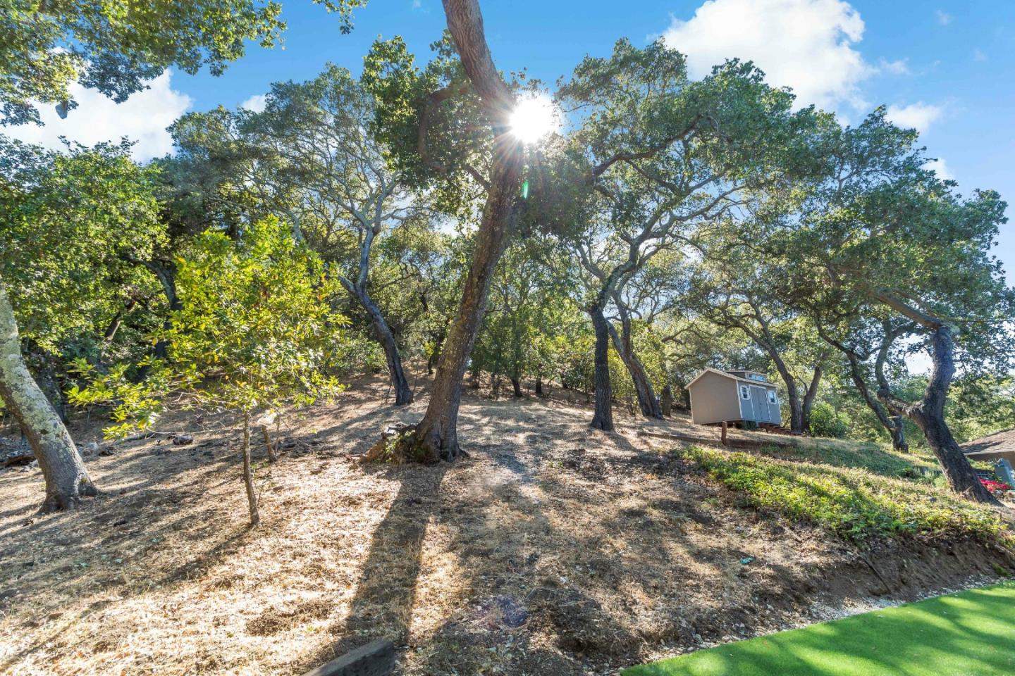 335 Harcross Road Woodside, CA 94062 - Photo 45 of 72 a view of a yard with plants and trees