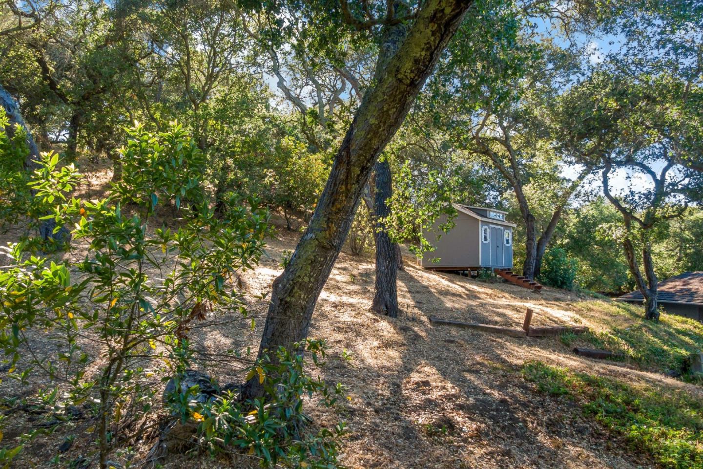 335 Harcross Road Woodside, CA 94062 - Photo 64 of 72