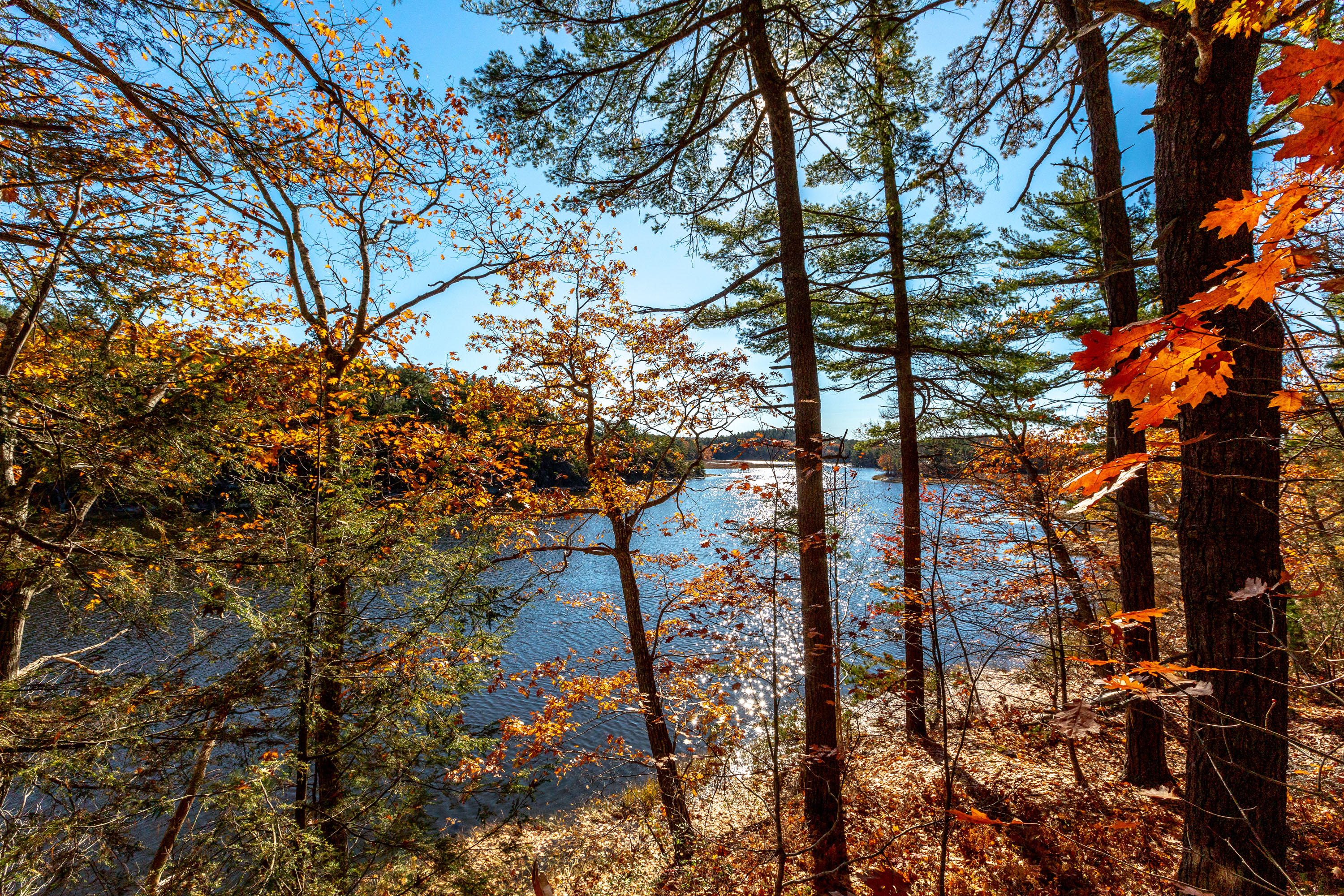 67 Indian Rest Road Bath, ME 04530 - Photo 66 of 66 Indian Rest_Ollier_49
