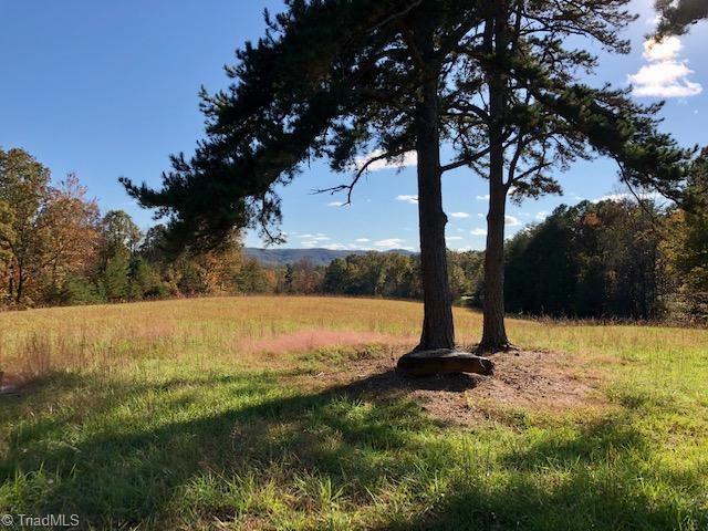 1095 George Road Westfield, NC 27053 - Photo 5 of 37 Gallery Image 5