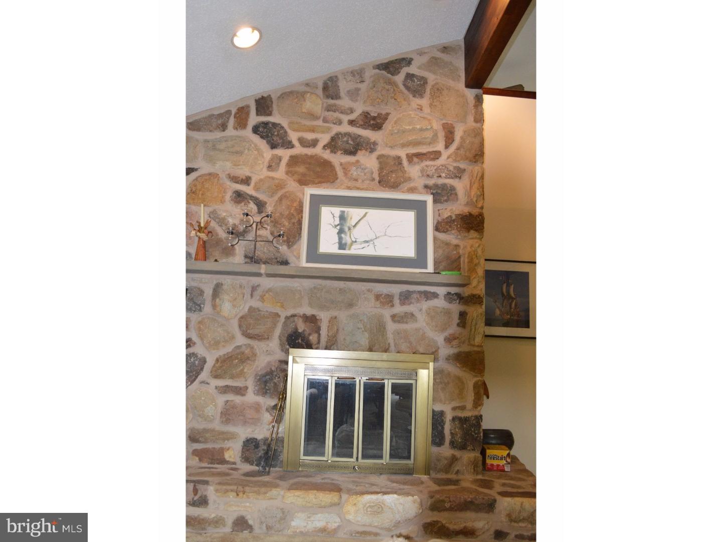 11 Mozart Drive East Greenville, DE 19807 - Photo 12 of 23 Fireplace