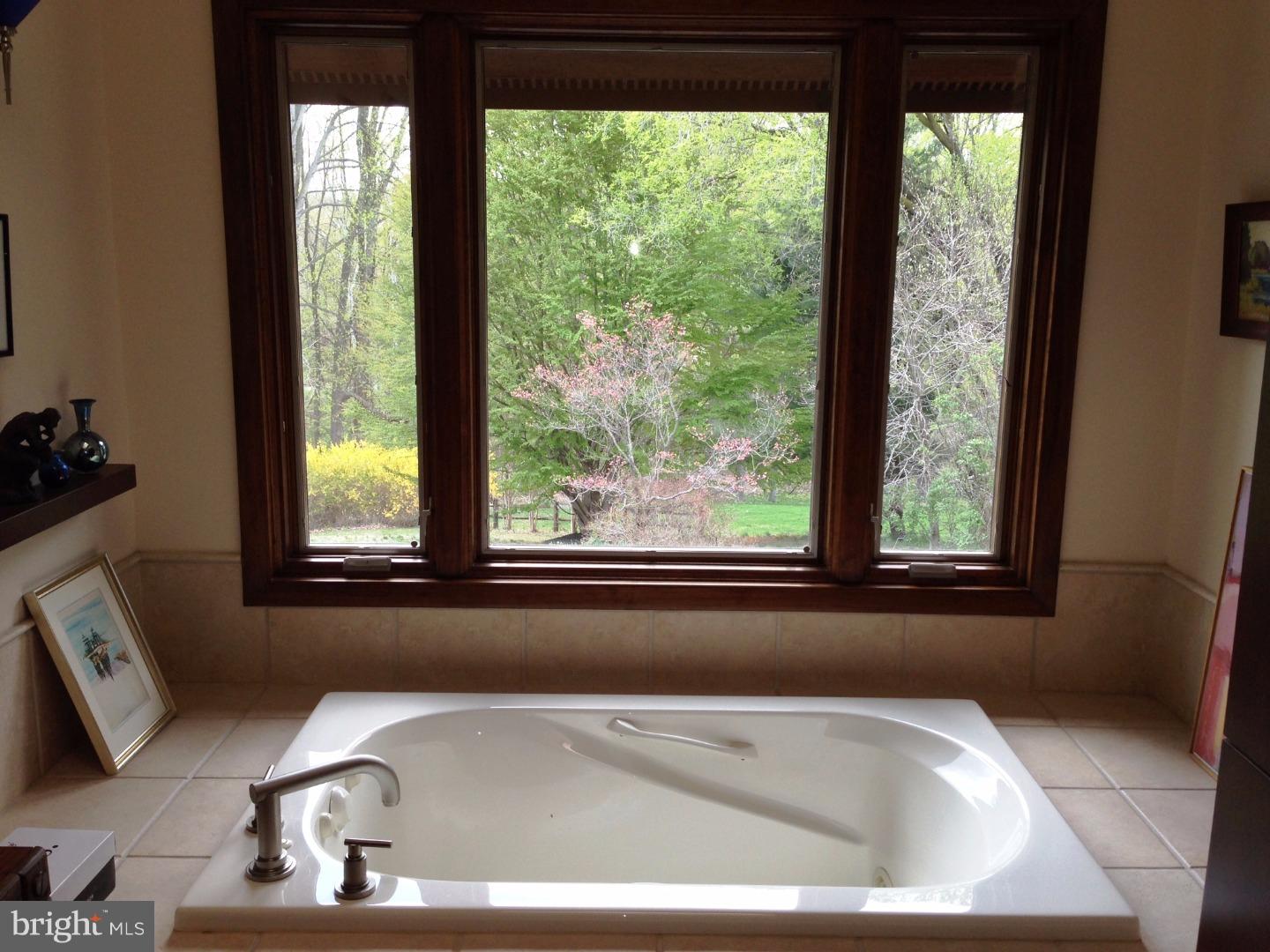 11 Mozart Drive East Greenville, DE 19807 - Photo 15 of 23 Master Bathroom