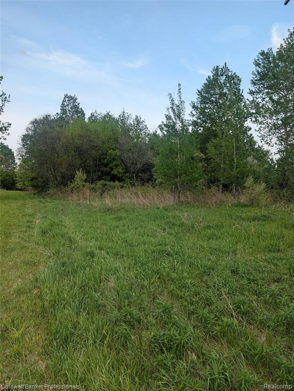 -n Lapeer R North Lapeer R N Lapeer Rd Branch North Branch, MI 48461 - Photo 7 of 8
