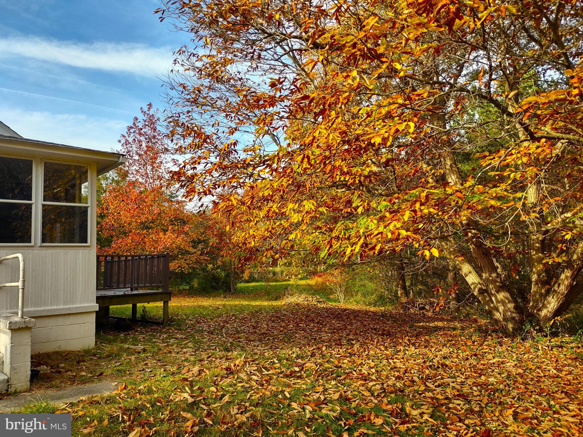 16009 Point Lookout Road Lexington Park, MD 20653 - Photo 13 of 32 Great fall colors