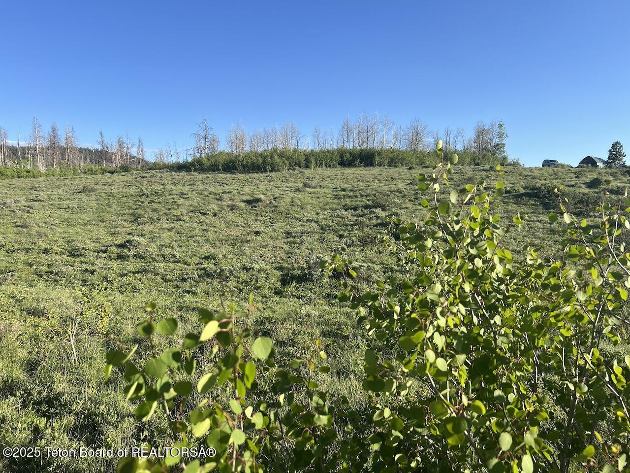 Tbd Tbd Vista Ridge Lane Bondurant, WY 82922 - Photo 6 of 19 IMG_8363
