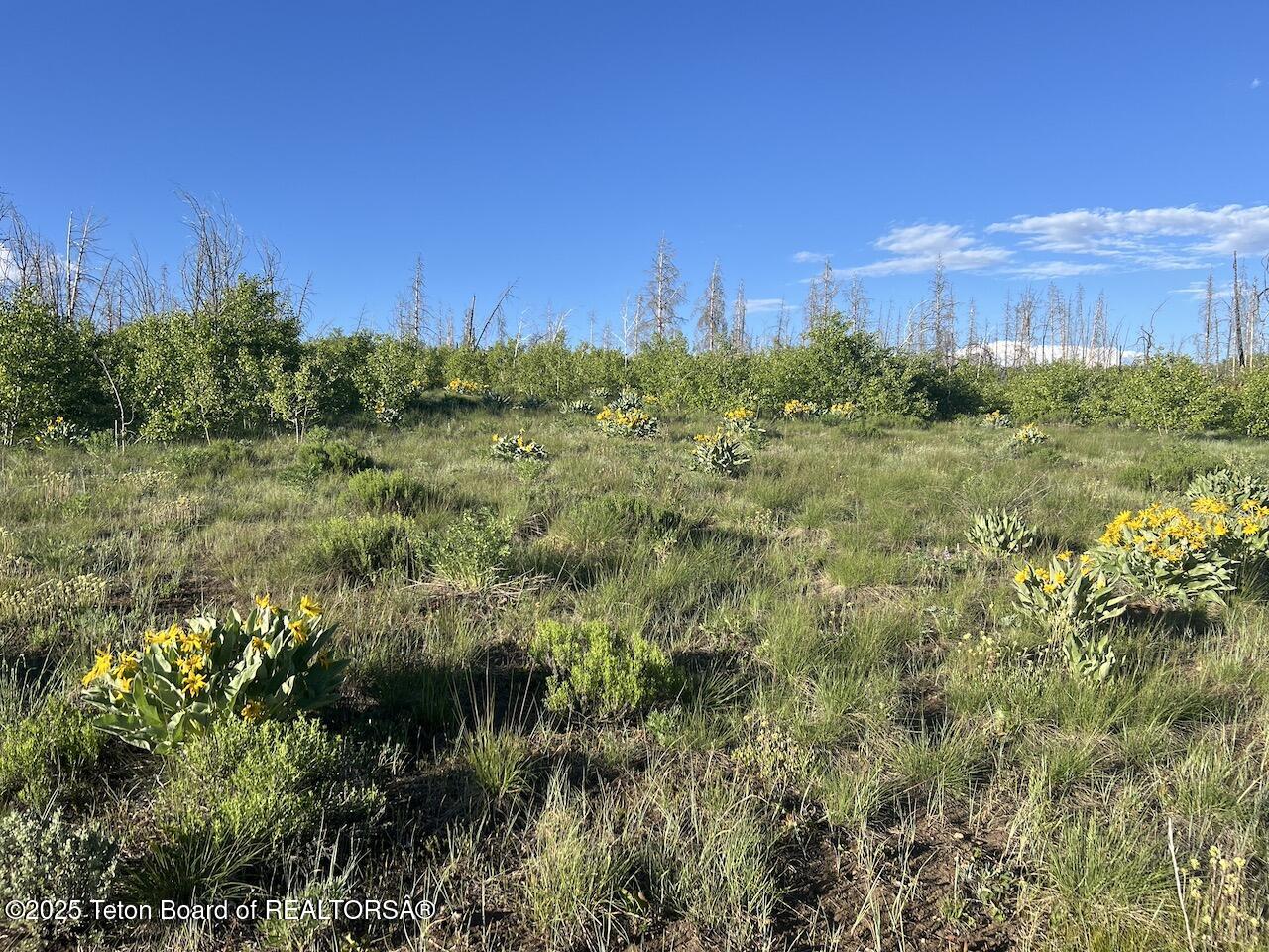 Tbd Tbd Vista Ridge Lane Bondurant, WY 82922 - Photo 10 of 19 IMG_8354