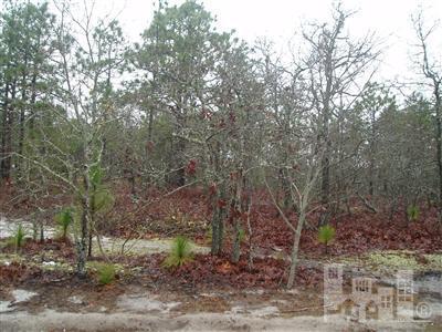 327 Okeechobee Road Wilmington, NC 28412 - Photo 2 of 3 Additional Photo
