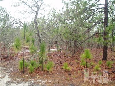 327 Okeechobee Road Wilmington, NC 28412 - Photo 3 of 3 Additional Photo