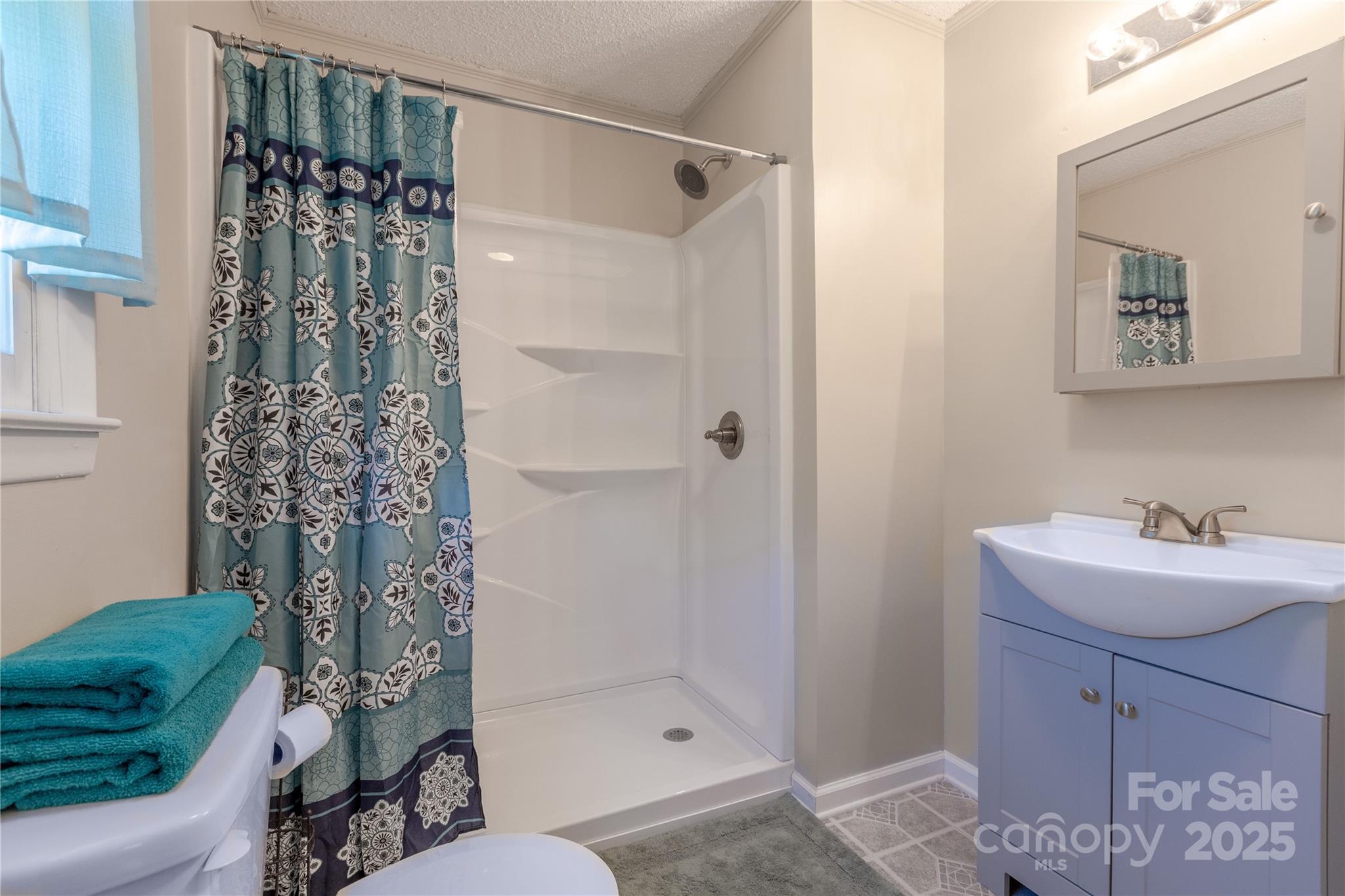 72 Cooper Drive Nebo, NC 28761 - Photo 13 of 18 a bathroom with a sink a toilet and shower