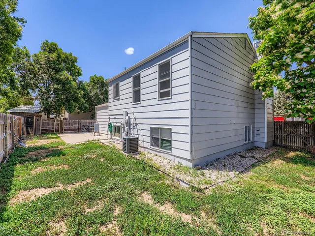 a view of backyard with potted plants and a large tree