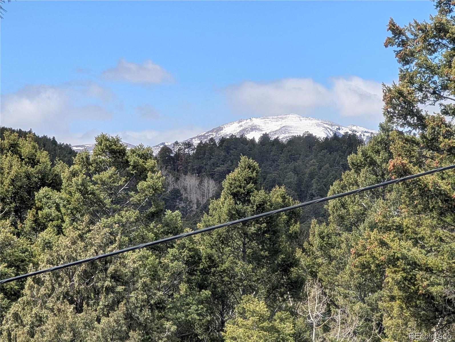 13108 Elsie Road Conifer, CO 80433 - Photo 29 of 49 Gallery Image 29
