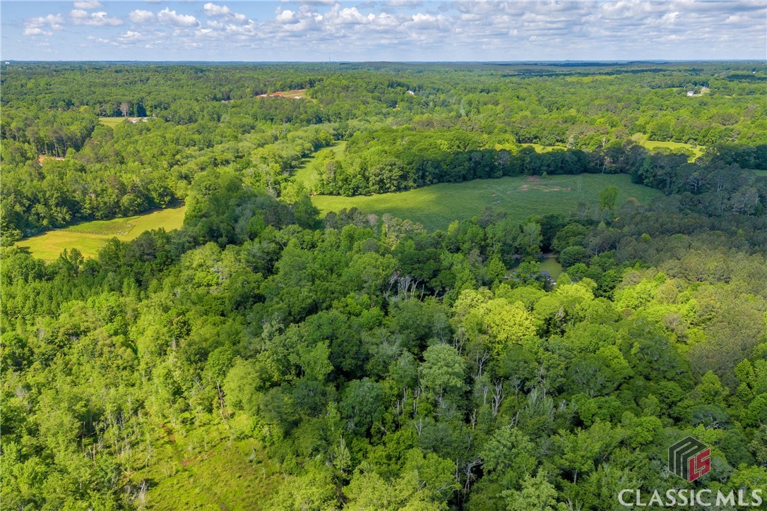 8635 Jefferson River Road Athens, GA 30607 - Photo 45 of 50