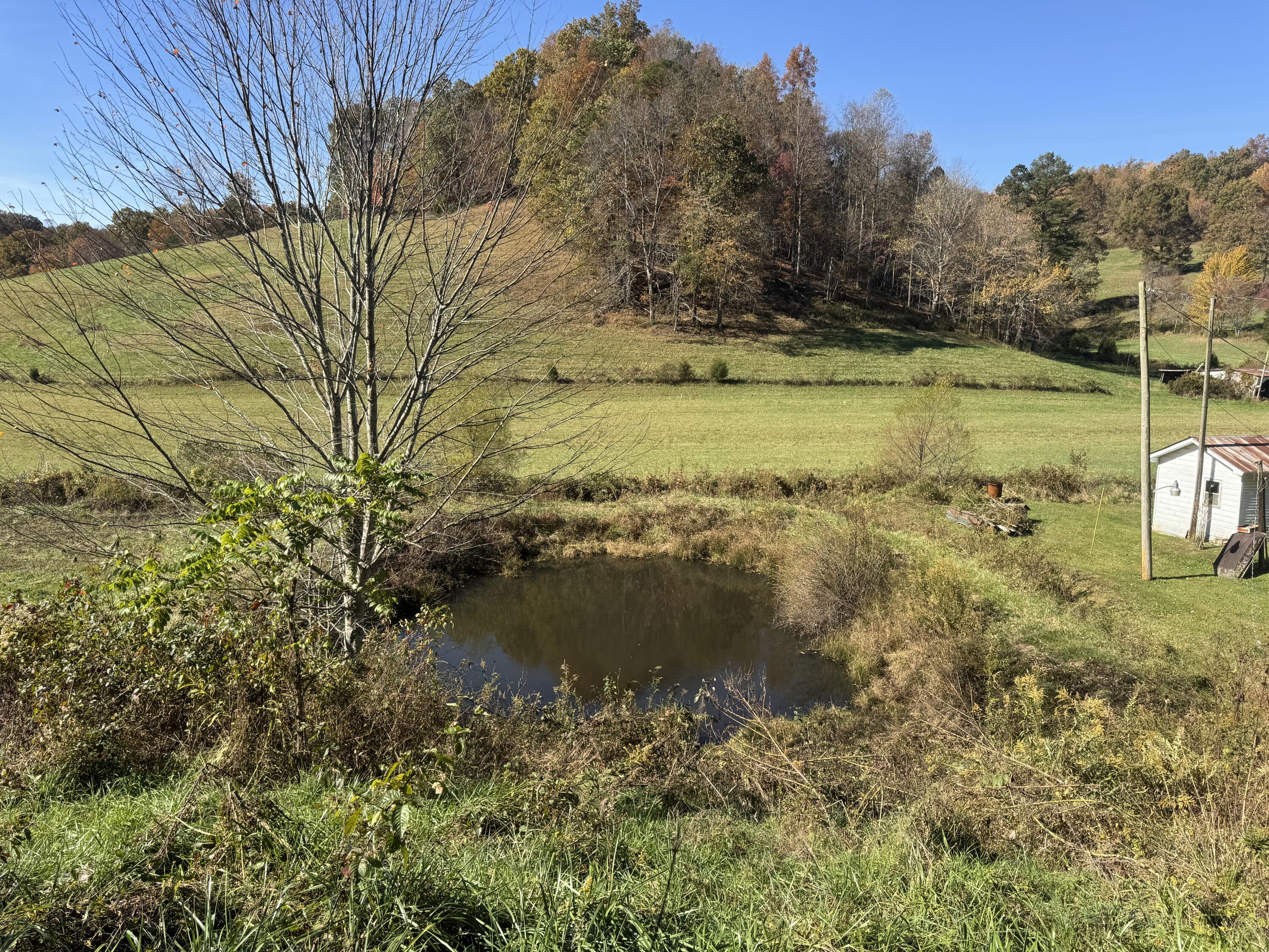 1052 Maulden Branch Road Tyner, KY 40486 - Photo 15 of 22 IMG_6086
