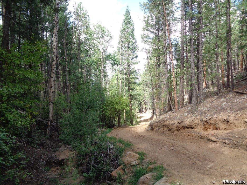10 Holmes Gulch Road Bailey, CO 80421 - Photo 14 of 39 Gallery Image 14
