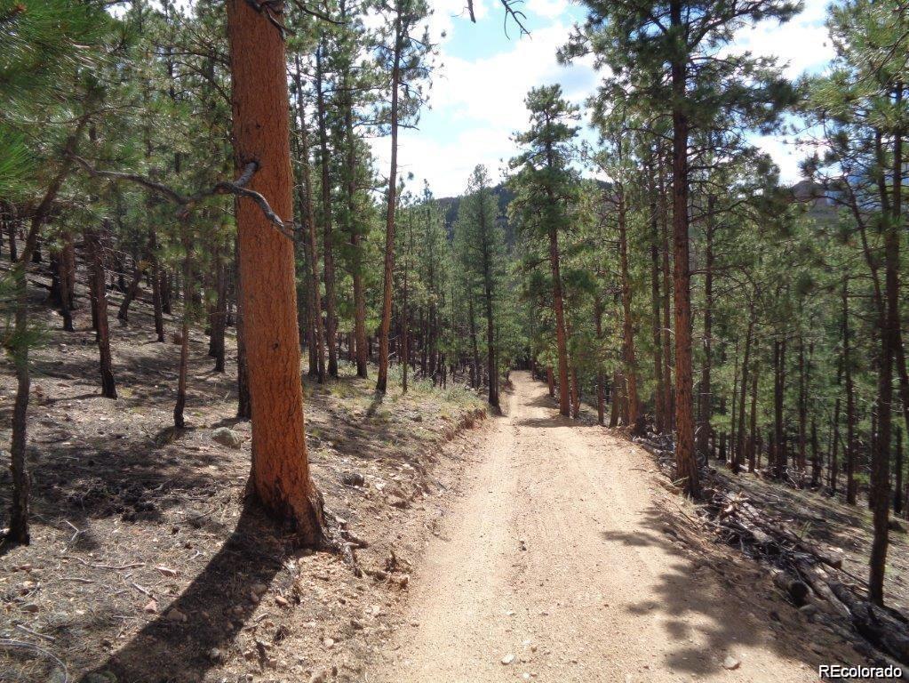 10 Holmes Gulch Road Bailey, CO 80421 - Photo 15 of 39 Gallery Image 15