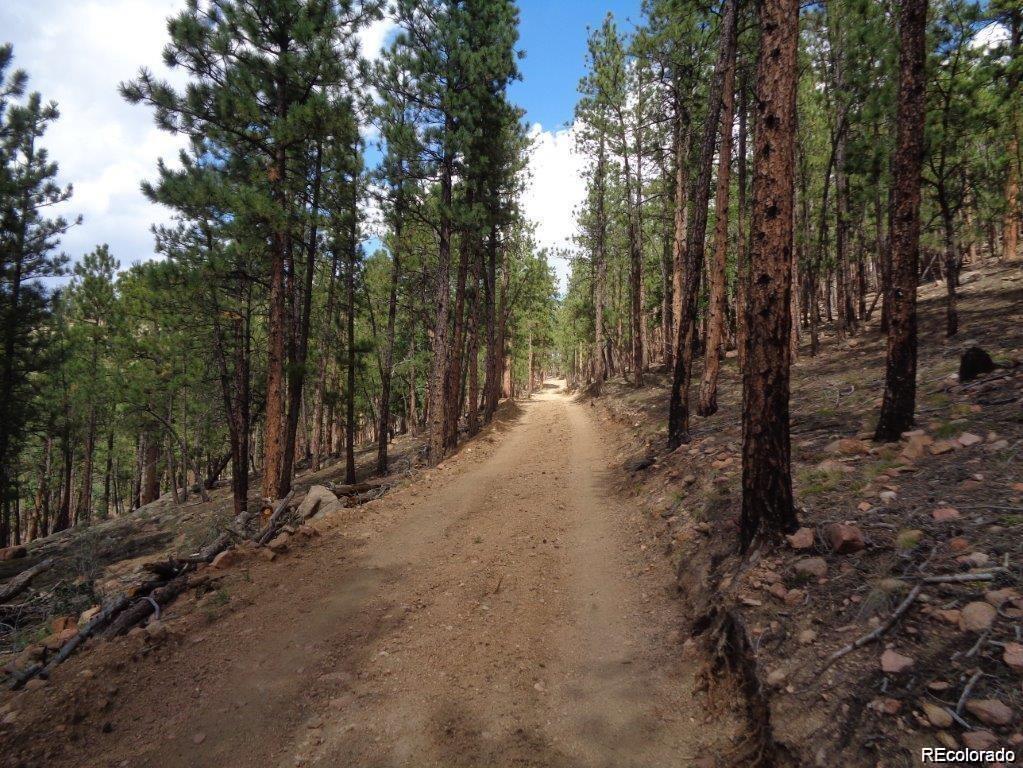 10 Holmes Gulch Road Bailey, CO 80421 - Photo 16 of 39 Gallery Image 16