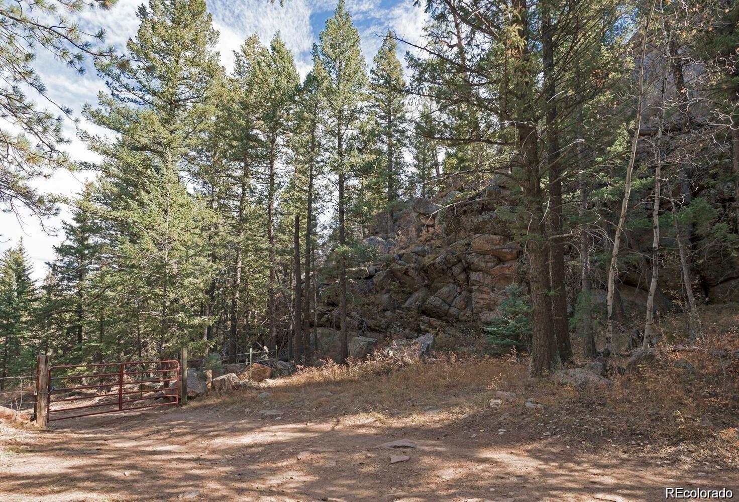 10 Holmes Gulch Road Bailey, CO 80421 - Photo 17 of 39 Gallery Image 17