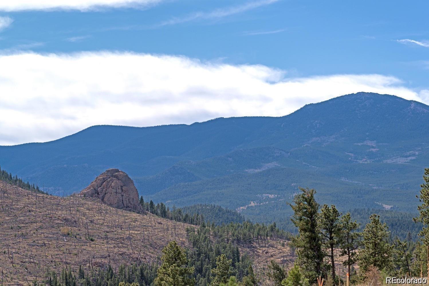10 Holmes Gulch Road Bailey, CO 80421 - Photo 20 of 39 Gallery Image 20