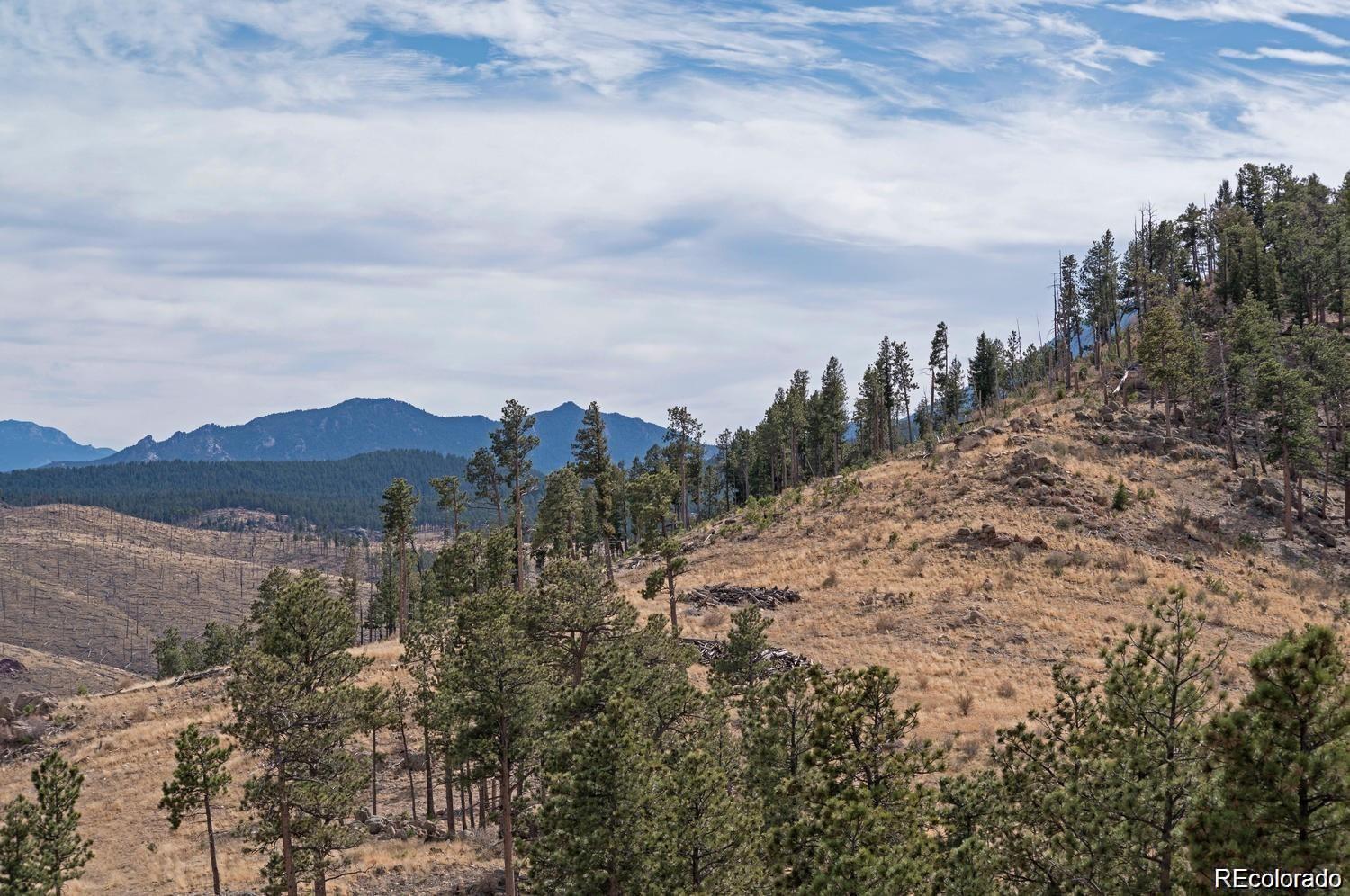 10 Holmes Gulch Road Bailey, CO 80421 - Photo 21 of 39 Gallery Image 21