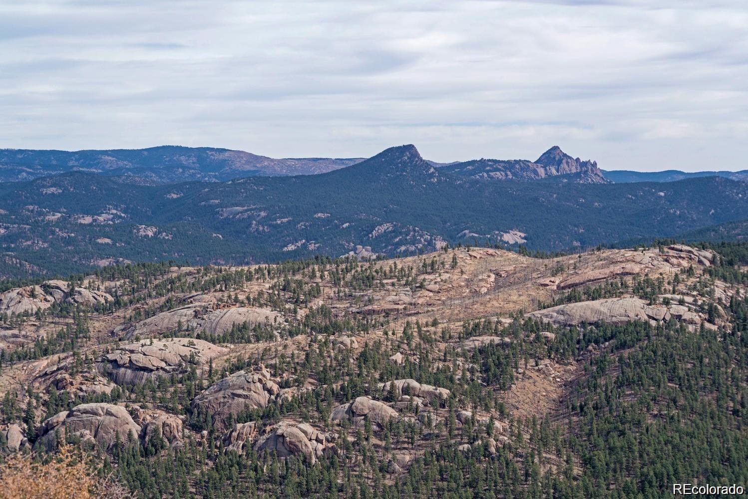 10 Holmes Gulch Road Bailey, CO 80421 - Photo 22 of 39 Gallery Image 22