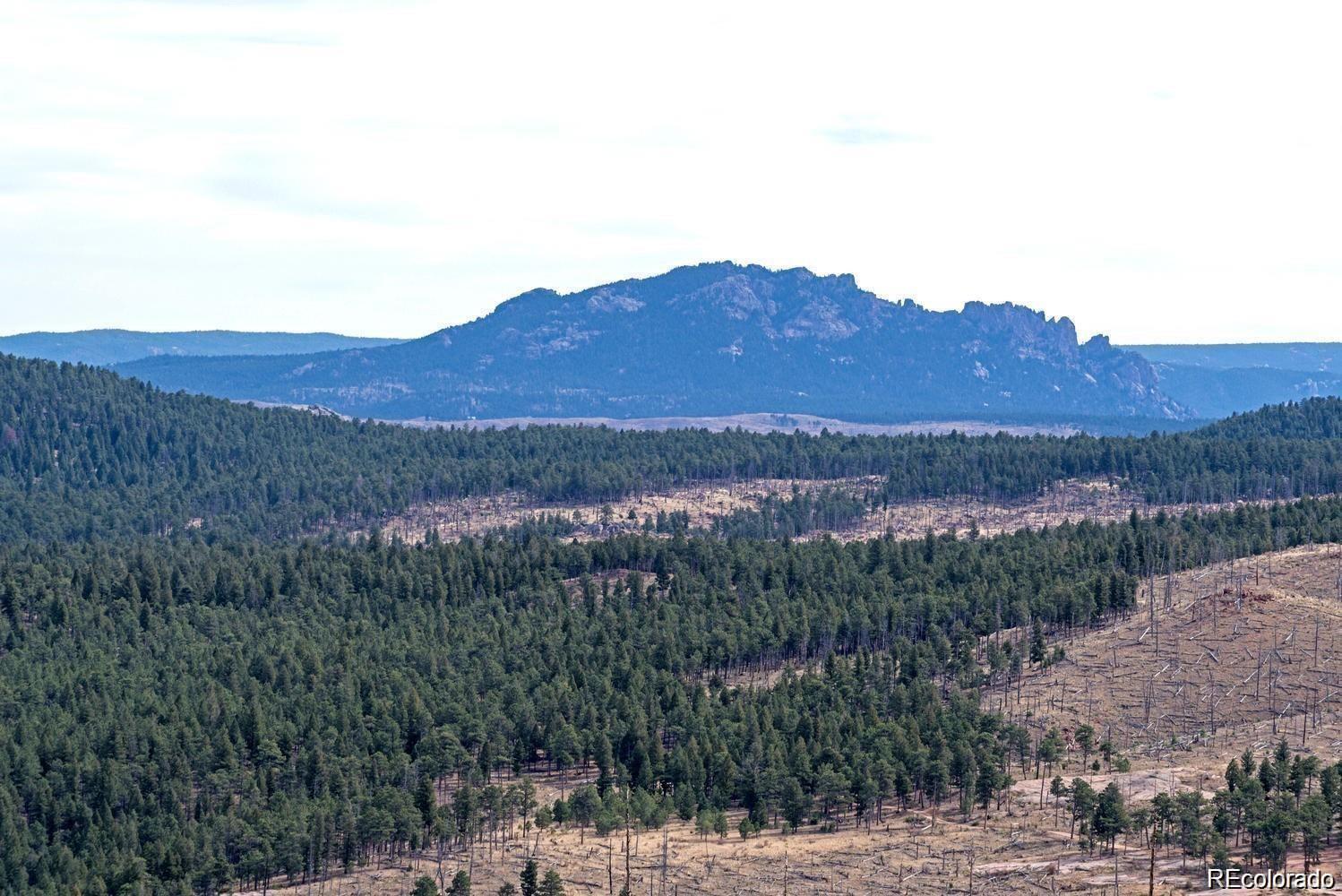 10 Holmes Gulch Road Bailey, CO 80421 - Photo 23 of 39 Gallery Image 23