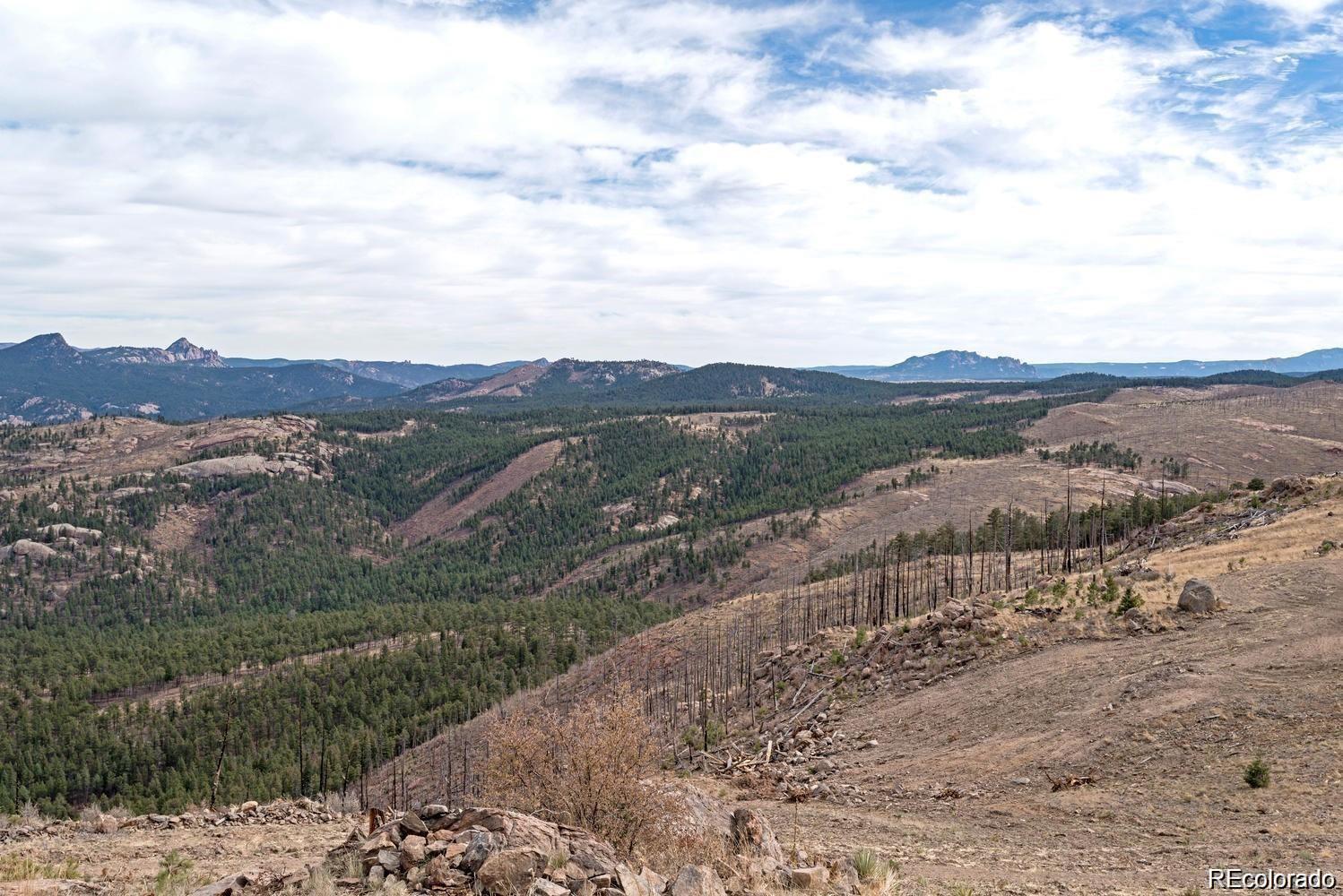 10 Holmes Gulch Road Bailey, CO 80421 - Photo 24 of 39 Gallery Image 24