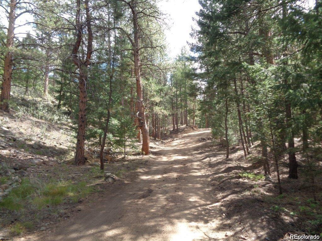 10 Holmes Gulch Road Bailey, CO 80421 - Photo 27 of 39 Gallery Image 27