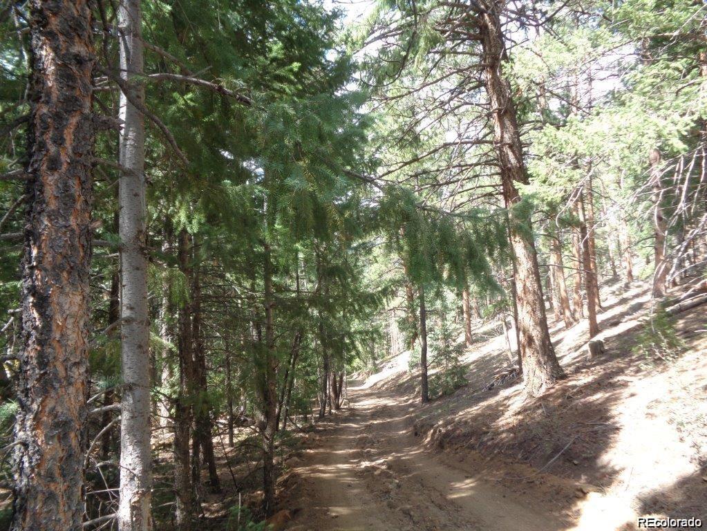 10 Holmes Gulch Road Bailey, CO 80421 - Photo 28 of 39 Gallery Image 28