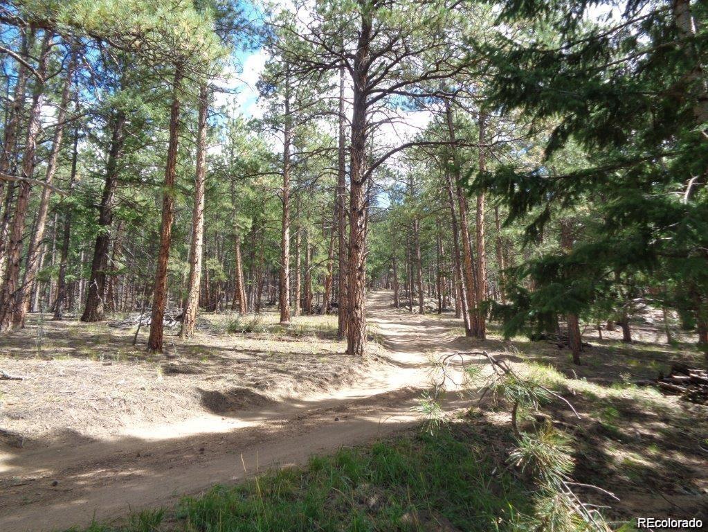 10 Holmes Gulch Road Bailey, CO 80421 - Photo 29 of 39 Gallery Image 29