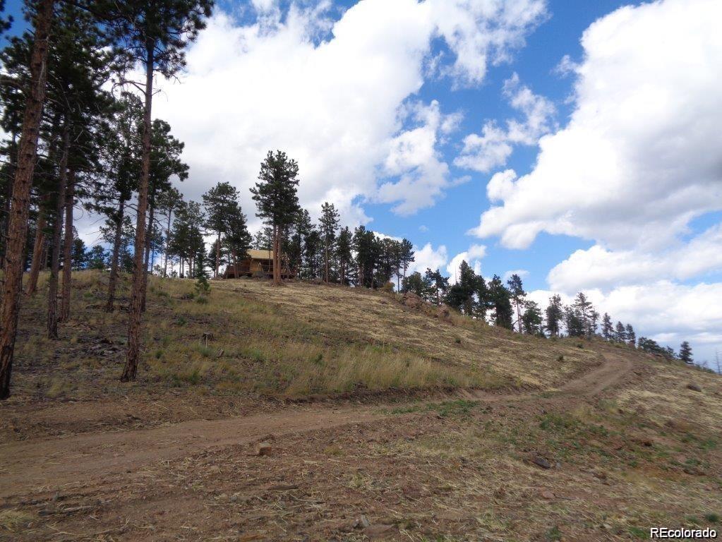 10 Holmes Gulch Road Bailey, CO 80421 - Photo 31 of 39 Gallery Image 31