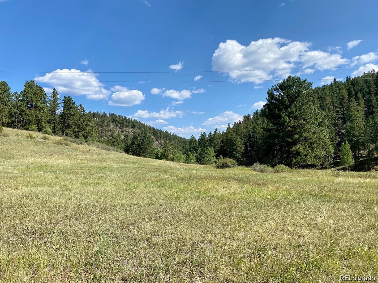 10 Holmes Gulch Road Bailey, CO 80421 - Photo 35 of 39 Gallery Image 35