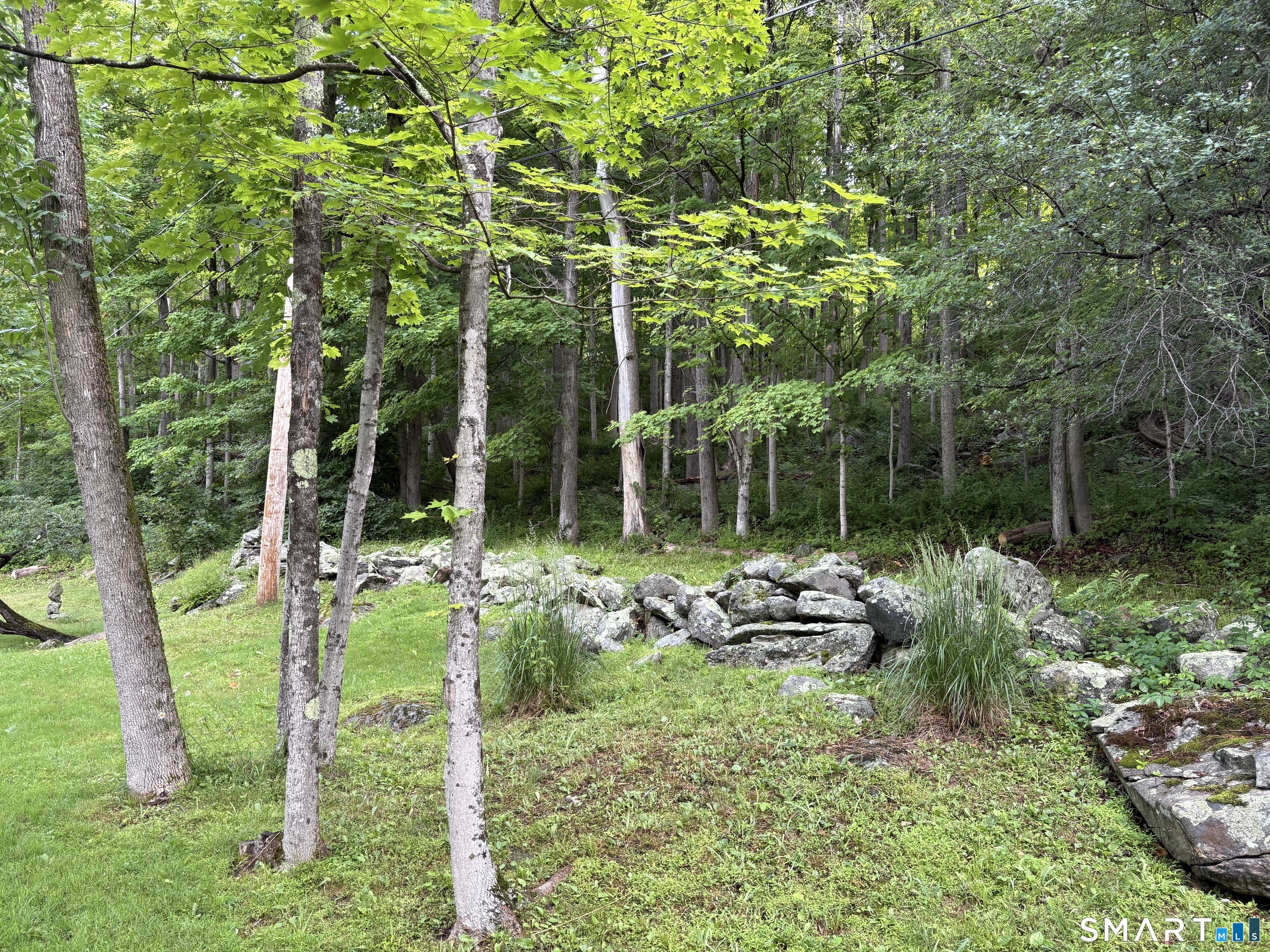 128 Popple Swamp Road Cornwall Bridge, CT 06754 - Photo 7 of 10 This is the section of the property off River Road. Old stone walls and lovely plantings. While the better building site is off Popple Swamp Rd., this is a lovely area to come down and see the Housatonic River.