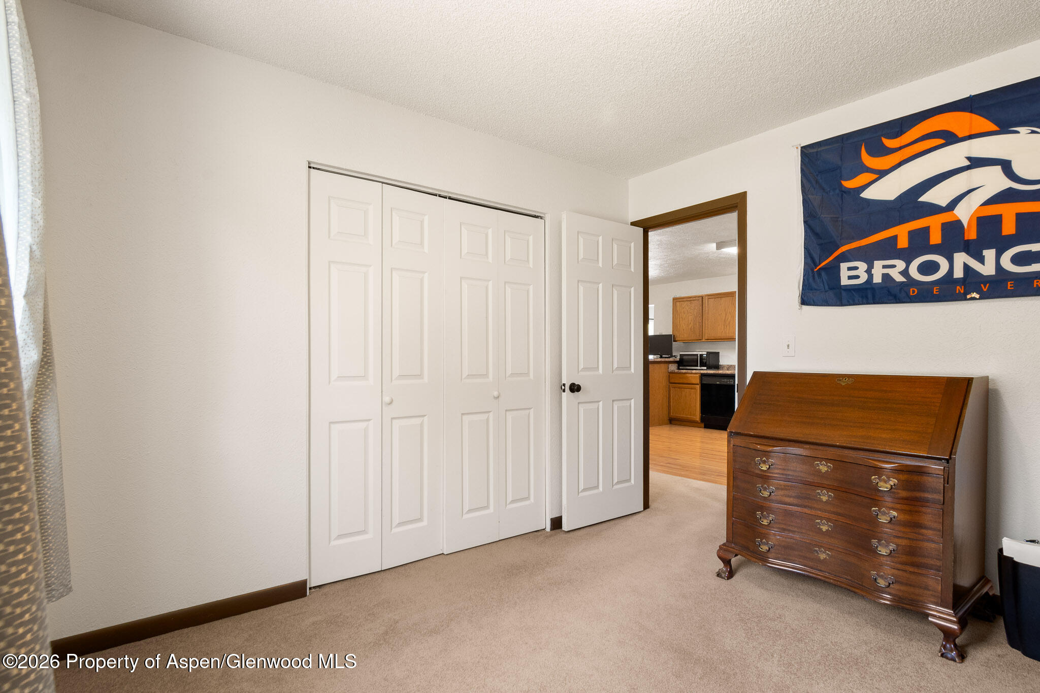 271 Remington Street Rifle, CO 81650 - Photo 18 of 27 MLS Online Version-18