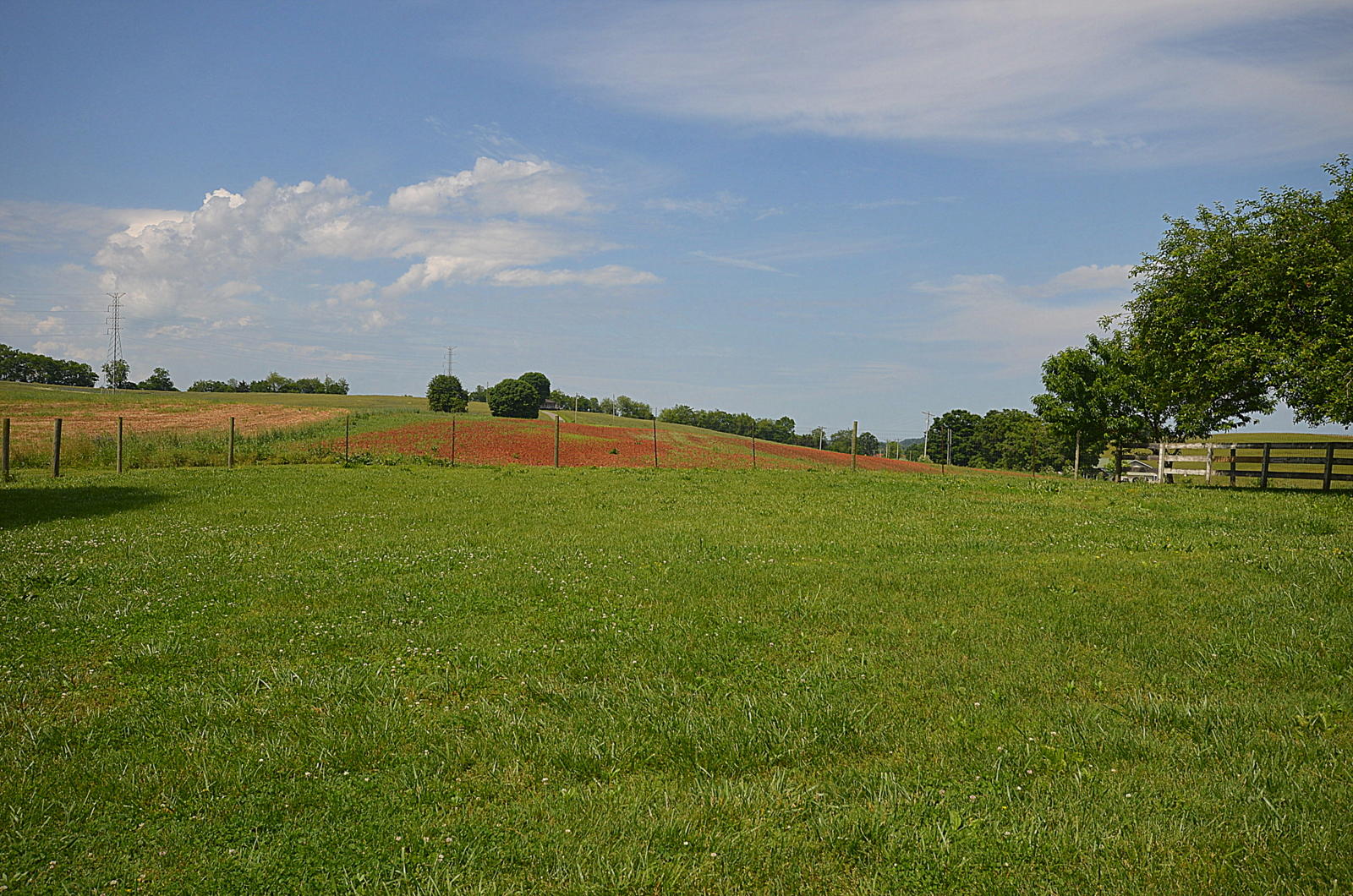 318 Corby Bridge Road Limestone, TN 37681 - Photo 39 of 56 DSC_0670