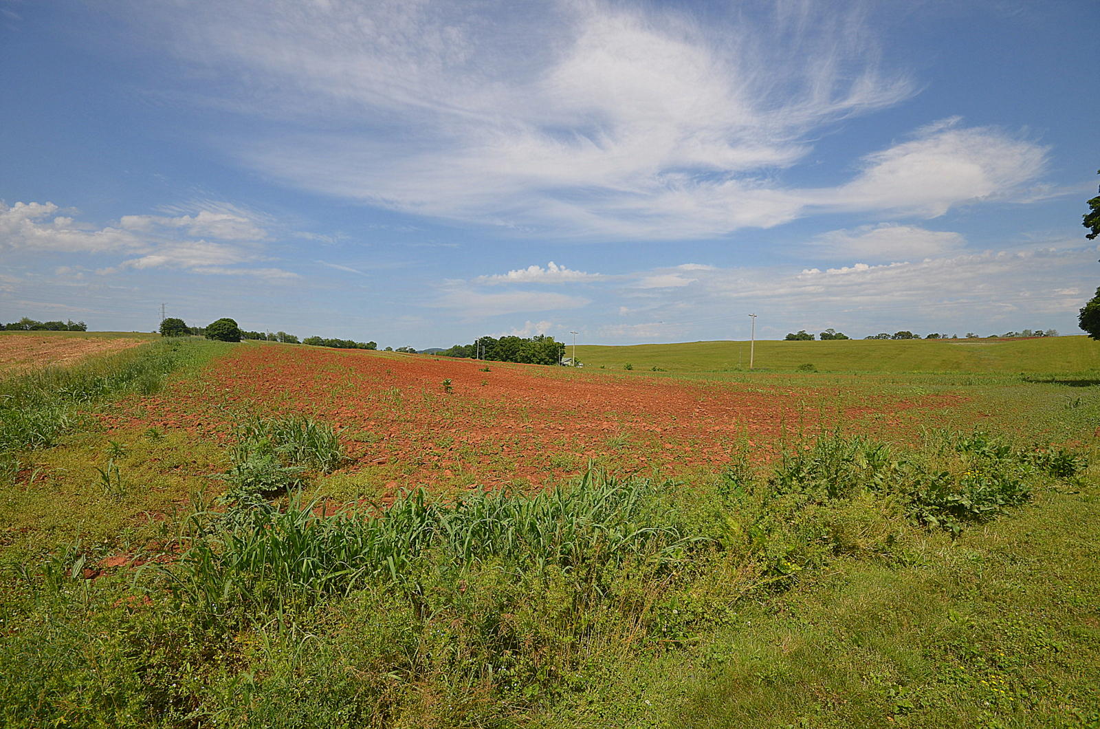 318 Corby Bridge Road Limestone, TN 37681 - Photo 45 of 56 DSC_0679