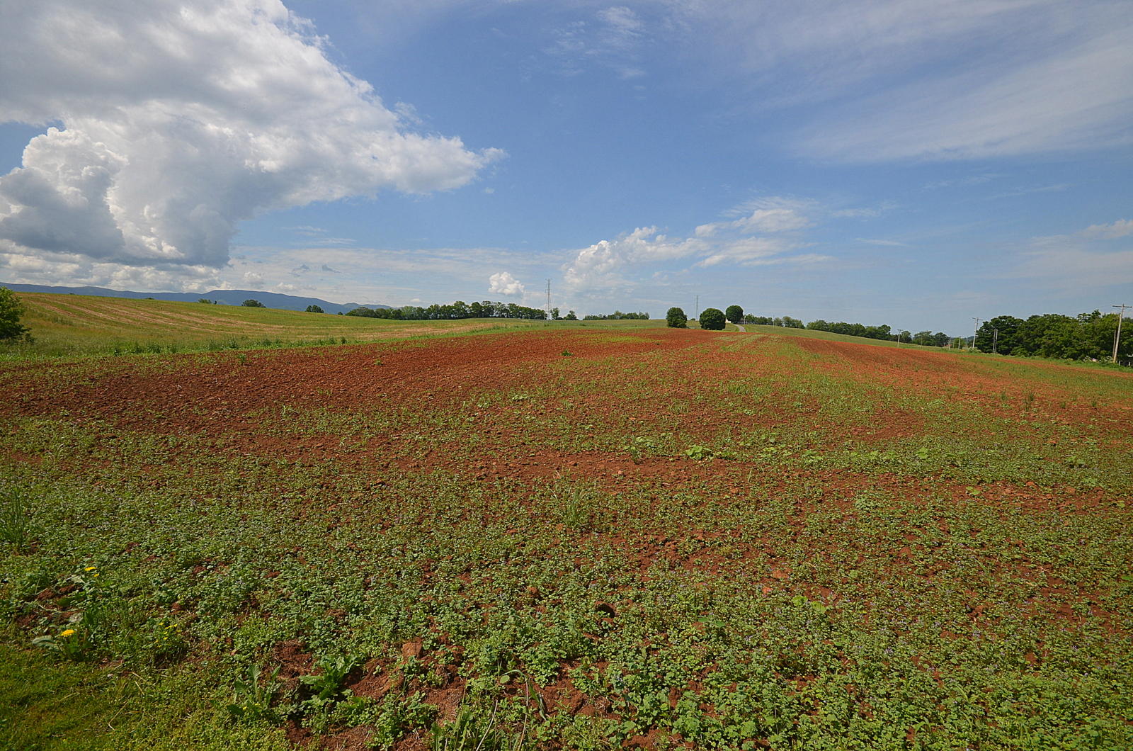 318 Corby Bridge Road Limestone, TN 37681 - Photo 47 of 56 DSC_0681