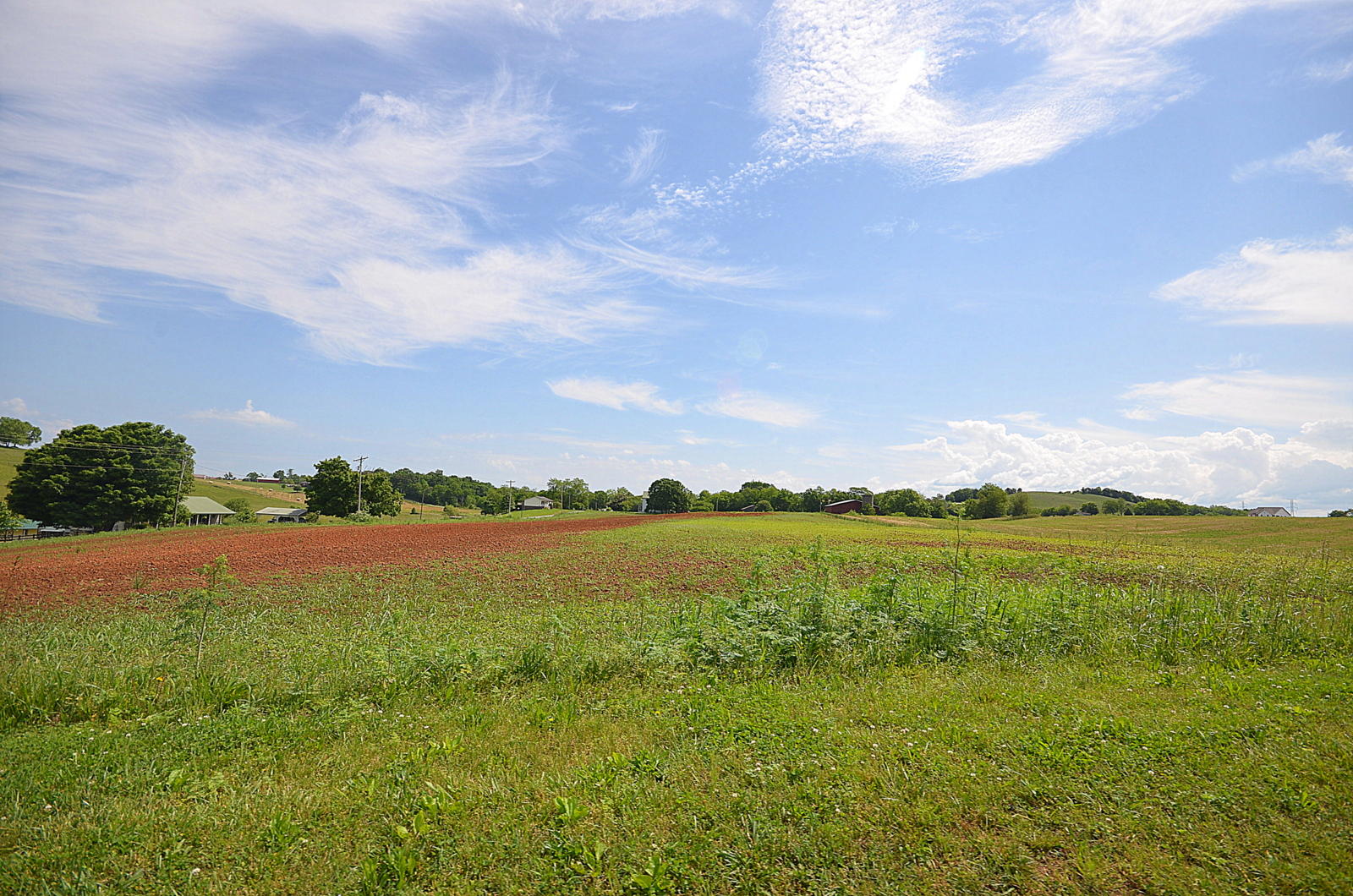 318 Corby Bridge Road Limestone, TN 37681 - Photo 56 of 56 DSC_0704